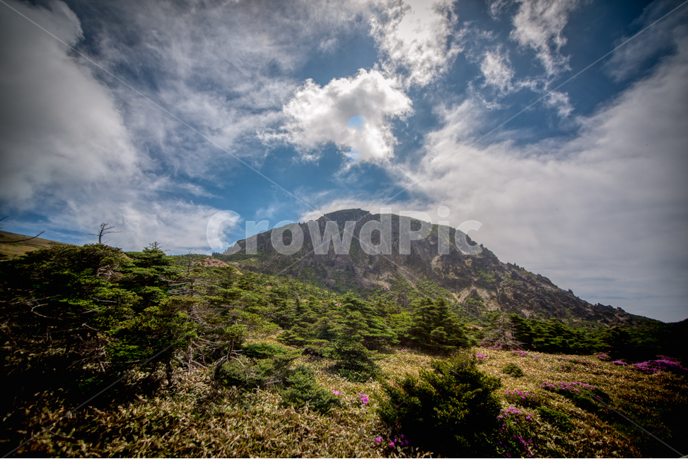 제주도,한라산,nature,자연,outdoors,옥외,hill,언덕,countryside,구름,나무,숲,등반
