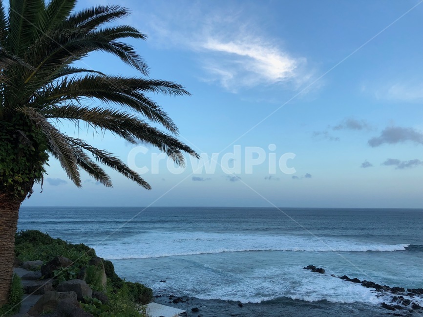 summer,여름,제주,제주도,해변,한국,바다,하늘,jeju,jejudo,korea,자연,풍경,nature,landscape