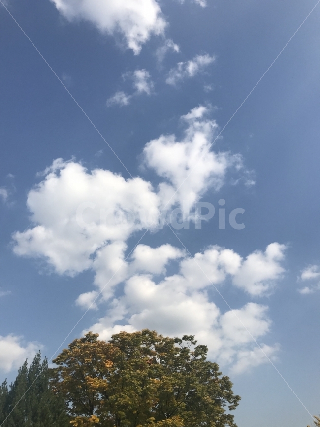 가을,가을하늘,가을풍경,단풍,landscape,자연,풍경,nature,landscape