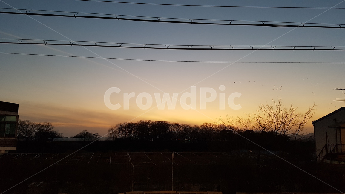 풍경,background,노을,한적함,가을,전선줄