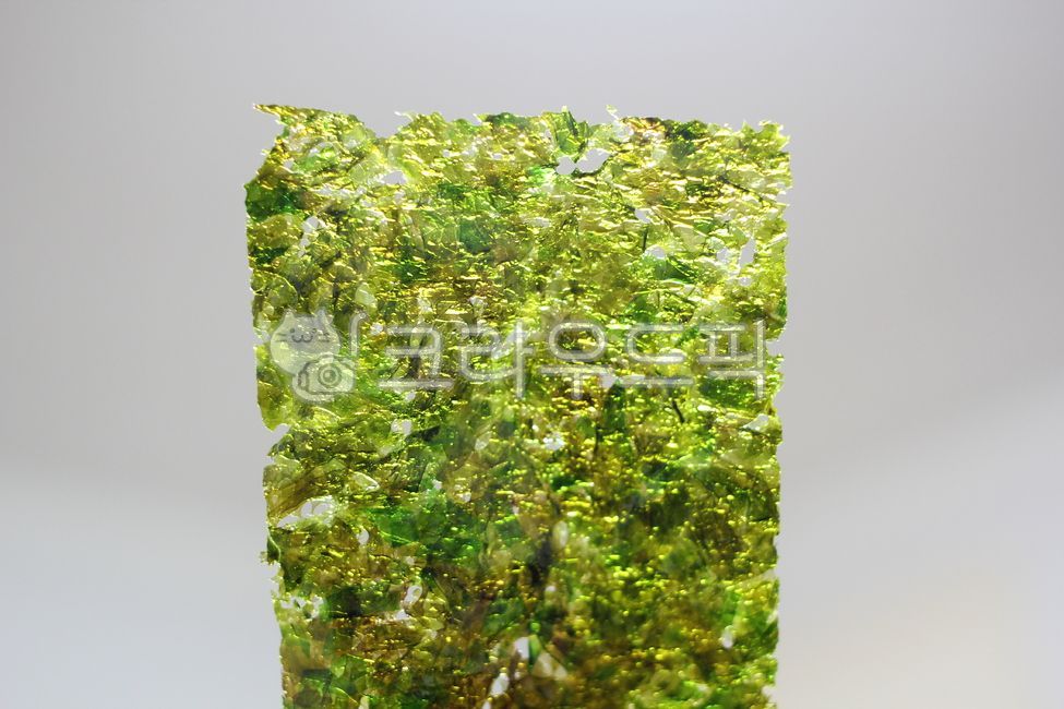 김,들기름,파래,초록색,해산물,바다,반찬,음식,식사