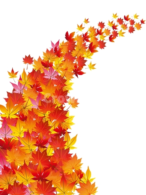 가을,그래픽,단풍,낙엽,가을분위기,가을감성,벡터,일러스트레이션,fall,autumn,illustration,graphic,season,maple,leaves,계절,시즌,포스터,표지,디자인소스,이벤트,행사표지,전단,리플렛,카다로그,칼라풀,노랑,주황,핑크,빨강,분홍,레드,red,pink,yellow,잎새,나뭇잎,colorful,배경,바탕,백그라운드,가을,계절,fall,autumn,season,그래픽,일러스트레이션,graphic,illustration,plant,식물,leaf,잎,tree,나무