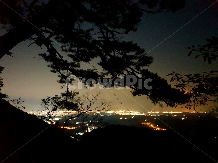 야간산행,야경,울산공단야경,문수산야경,풍경,밤,경치,나무,소나무,야경,밤,풍경,nightscape,night,landscape,실루엣,그림자,silhouette,shadow,nature,자연,light,빛,flare,플레어,outdoors,옥외