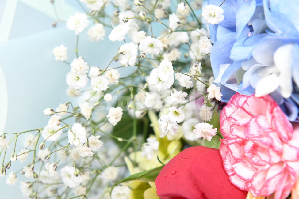 꽃다발,플라워,꽃,장미,안개꽃,꽃,flower,기념일,축하,anniversary,congratulation,celebrate,celebration