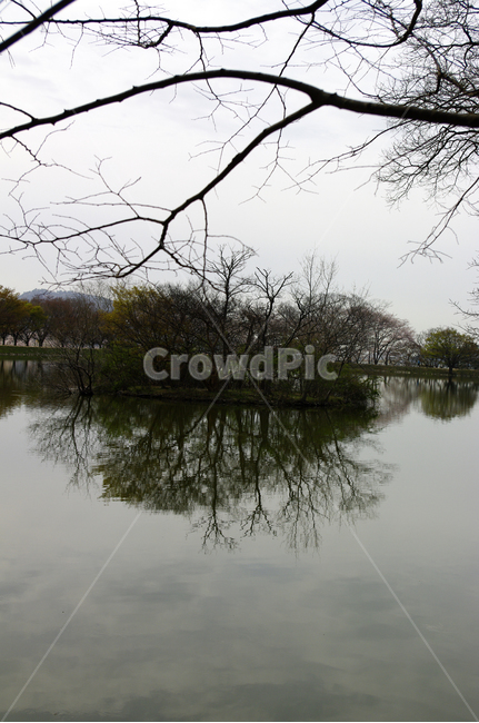 호수,나무,반영,풍경,식물,자연,풍경,nature,landscape,water,물,outdoors,옥외,land,땅