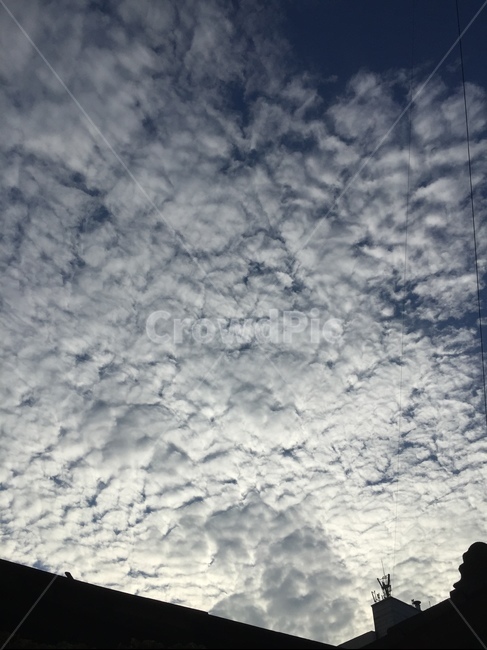 하늘,구름,sky,가을,봄,여름,겨울,계절하늘,뭉게구름,푸른하늘,파란색,파랑색,하늘색,스카이블루,감성,감성사진,배경,배경화면,싱그러운,푸른,나뭇잎,나무,잎사귀,잎,푸른배경,항공샷,하늘샷,자연,풍경,nature,landscape,outdoors,옥외,cloud,weather,날씨,cumulus,적운