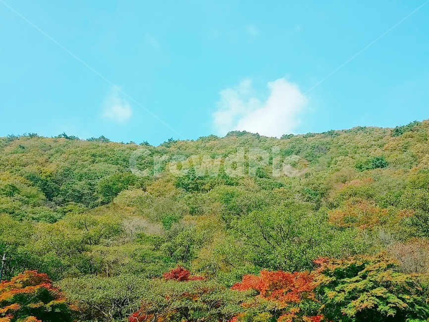 자연,nature,산,단풍,등산