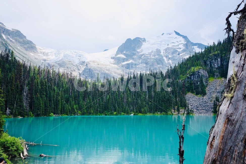 해외풍경,풍경,자연,강,scenery,lake,nature,자연,풍경,nature,landscape,해외,외국,세계,foreign,oversea,world,세계자연풍경,해외자연풍경,외국자연풍경,world nature landscape,water,물,outdoors,옥외,tree,나무,plant,식물