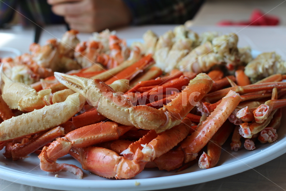 게,음식,영덕대게,대게찜,food,음식,식재료,요리,food,cook,meal,dishes,food reserves,수산물,해산물,fishery products,seafood