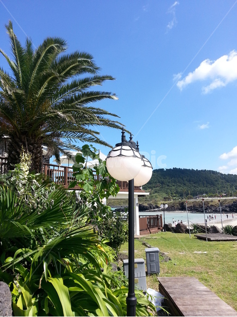 제주,jeju,풍경,landscape,가로등,streetlamp,자연,풍경,nature,landscape,한국자연풍경,한국자연경관,korea nature landscape,제주도,jeju,jeju island