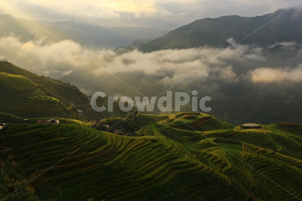 nature,자연,outdoors,옥외,countryside,field,들,hill,언덕,중국,계림,용척,용척다랭이논,다랭이논,다락논,농업,농경지,경작,농사,중국비경,경치,경관,풍경,운해,용척제전아침