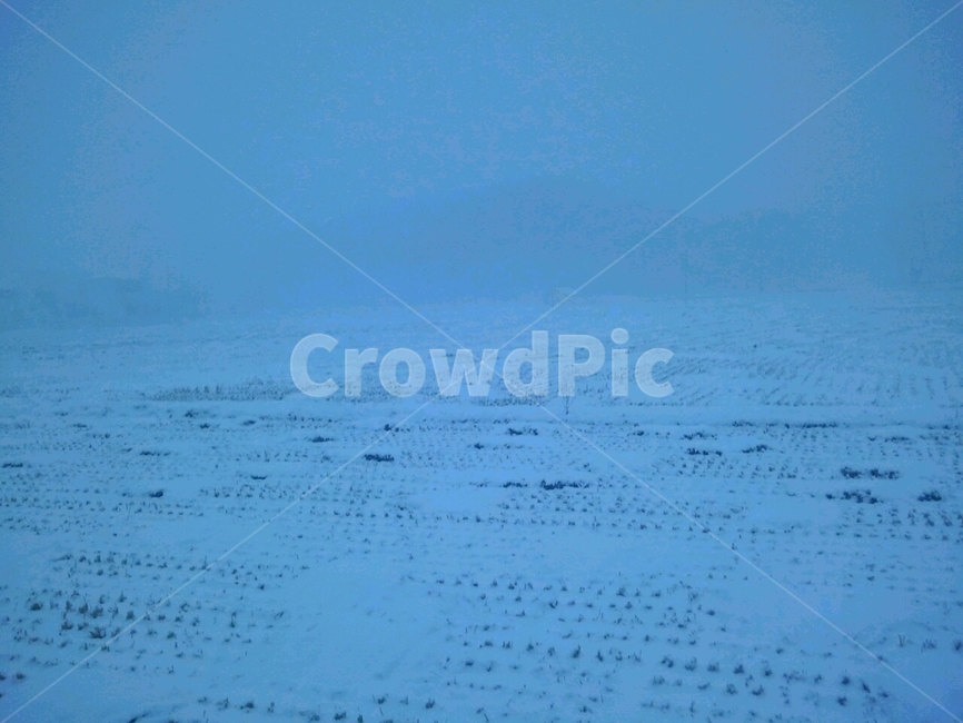 겨울,논,풍경,눈,안개,눈보라,겨울,계절,winter,season,자연,풍경,nature,landscape,outdoors,옥외