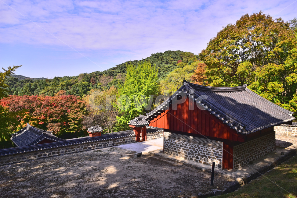 maple forest,forest,koreatraditional,autumn lyricism,fall,Maple tree,tile roof,unesco,autumn mood,Korean natural scenery,season,cultural heritage site,autumn background,world cultural heritage,autumn scenery,history,Namhansanseong Fortress,Tangible cultur