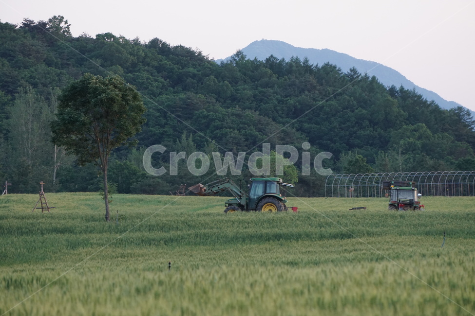 보리밭,봄풍경,풍경,평화로움,포크레인,산업,industry,industrial,농업,농사,agriculture,farming,farming industry