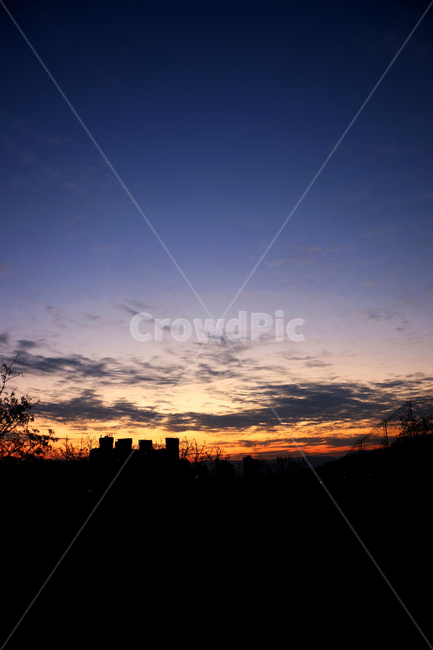 배경,구름,오렌지빛,하늘,나무,background,dawn,cloud,orange,sky,tree,emotional,sunset