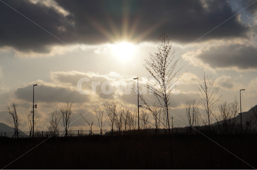 일몰,나무,구름,해,겨울,풍경,겨울,계절,winter,season,자연,풍경,nature,landscape,light,빛,flare,플레어,sunlight,햇빛