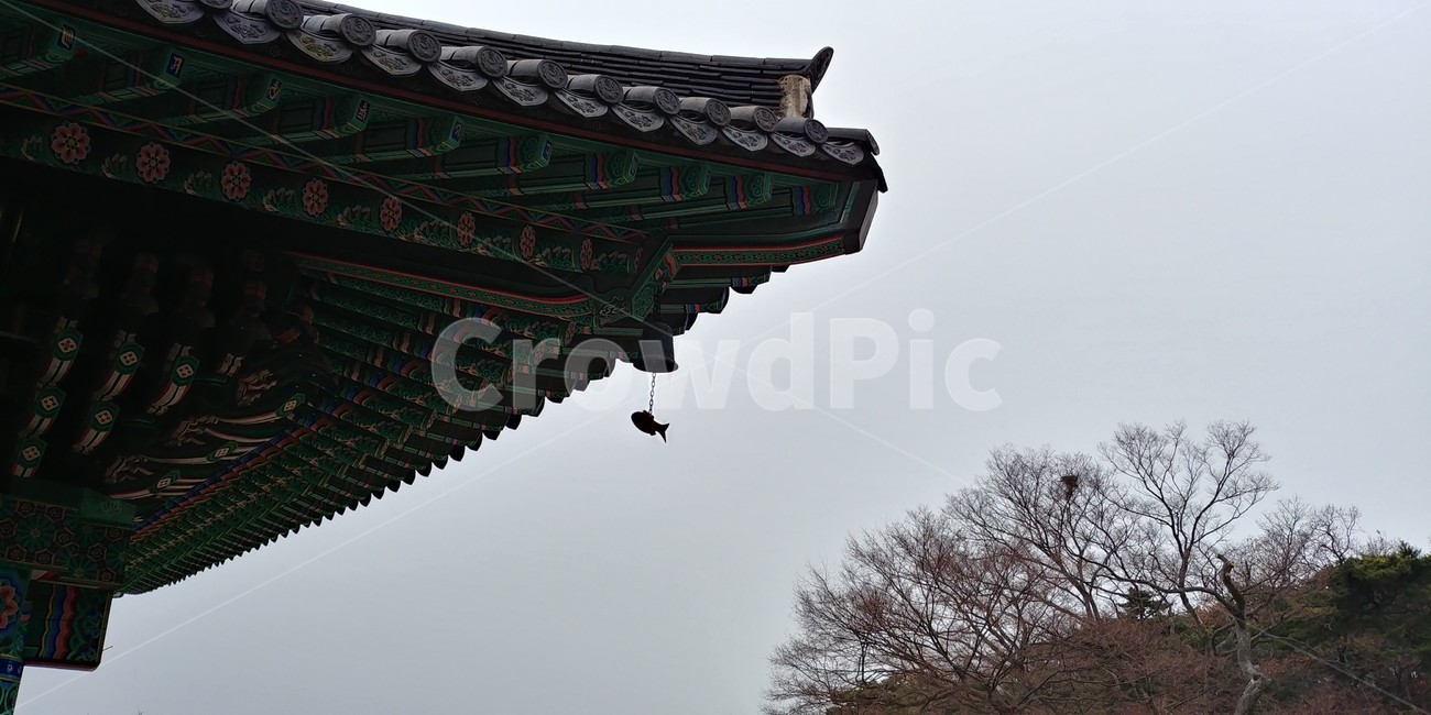 강화도절,기와지붕,절,문화유산,한국,전통,유산,종교