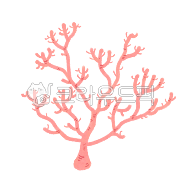 nature,sea day,seaweed,Biology,water,summer,ocean,coral,underwater,sea creatures,coral reef,environment day,aquatic plants,world ocean day,marine life