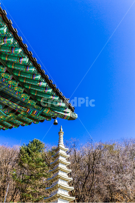 단청,탑,풍경,사찰,문양,전통,한국전통,한국문화,korean traditional,korean culture,종교,신앙,religion,belief,faith,건축물,건물외관,exterior,building,structure,architecture,construction
