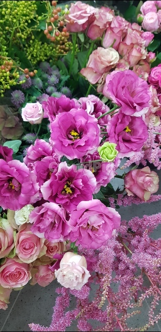 식물,flower,꽃,blossom,리시안,자주리시안