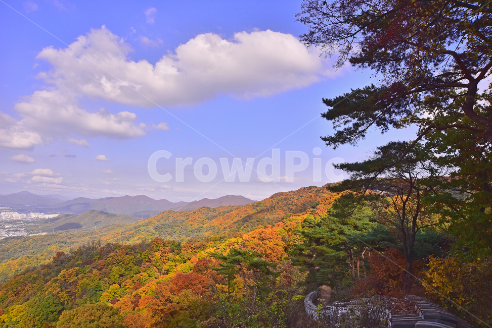 가을,가을풍경,한국자연경관,한국자연풍경,자연,가을배경,fall,autumn,season,가을단풍,nature,outdoors,옥외,산맥,mountain,mountainrange,가을숲,배경,바탕,백그라운드,background,시즌,계절,골짜기,가을분위기,forest,찬란한,형형색색,칼라풀,colorful,산,능선,봉우리,성곽길,둘레길,남한산성,소나무,가을산,가을,계절,fall,autumn,season,자연,풍경,nature,landscape,한국자연풍경,한국자연경관,korea nature landscape,mountain range