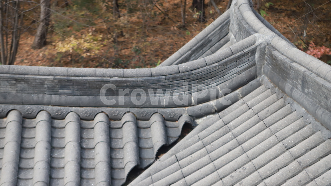 한옥,기와,지붕,풍경,roof