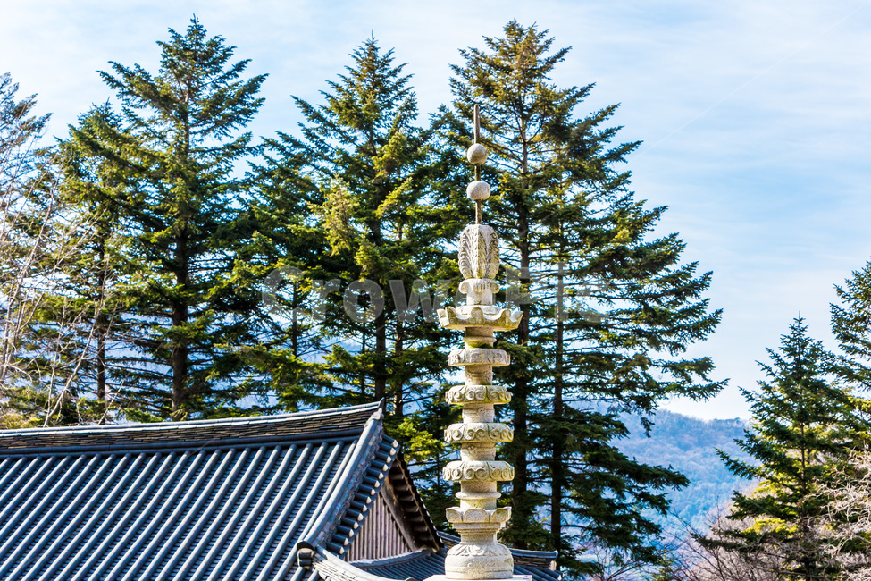 석탑,건축,사찰,문화유산,선,한국전통,한국문화,korean traditional,korean culture,종교,신앙,religion,belief,faith,건축물,건물외관,exterior,building,structure,architecture,construction