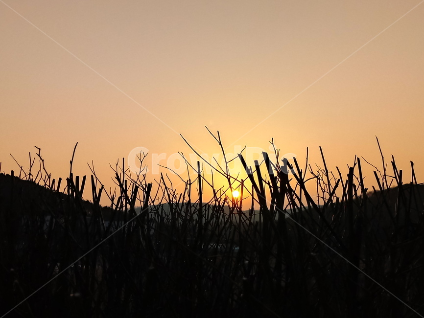 석양,일몰,태양,옥외,붉은하늘,하늘,sunset,outdoors,sunlight,황혼,경치,sky,redsky,nature,자연,풍경,nature,landscape