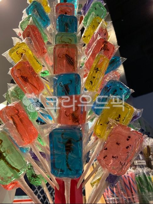 할로윈캔디,벌레캔디,사탕,신기한사탕,캔디,벌레,사탕속개미,미국사탕,사탕선물,candy,halloweencandy,halloween