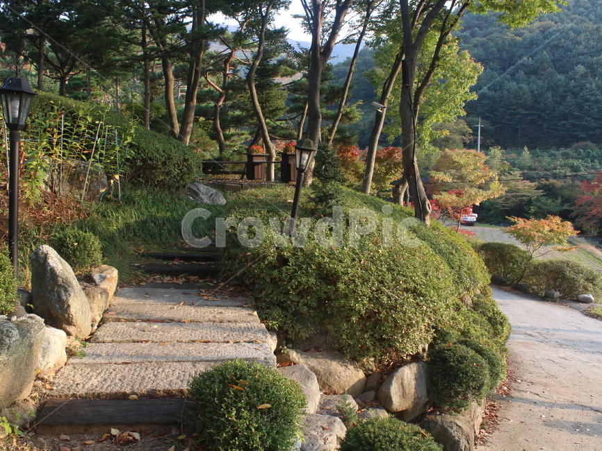 산책로,풍경,자연,가을풍경,autumn,fall,자연,풍경,nature,landscape,flagstone,판석,outdoors,옥외