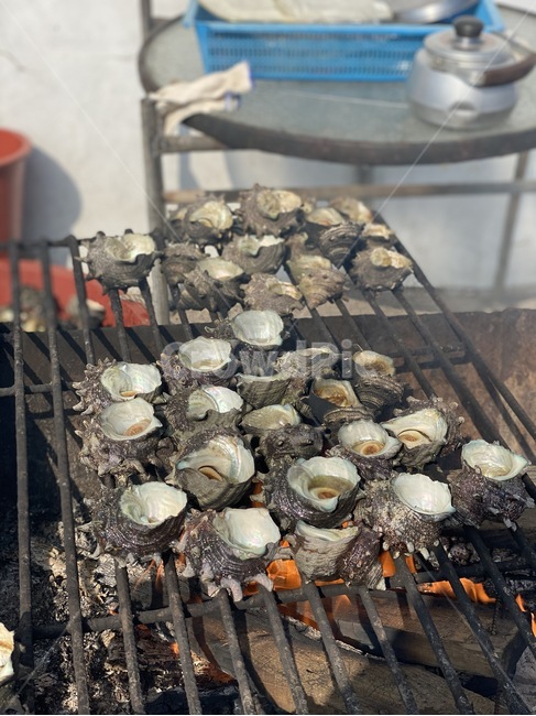 소라,바다,음식,shore,sea,shell,food