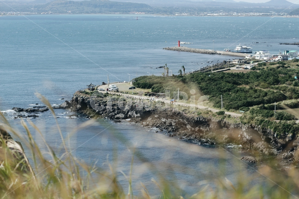 바다,하늘,섬,우도,제주도,sky,island,능선,맑음,자연,풍경,nature,landscape,한국자연경관,koreanaturelandscape,등대,억새,바람,해안가,길,자연,풍경,nature,landscape,한국자연풍경,한국자연경관,korea nature landscape,제주도,jeju,jeju island,land,땅,outdoors,옥외,water,물,sea,ocean,대양,shoreline,해안선