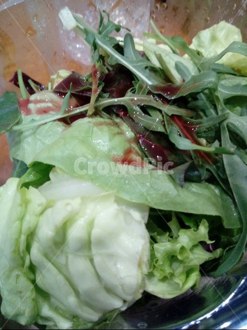 plant,식물,샐러드,비건,vegetable