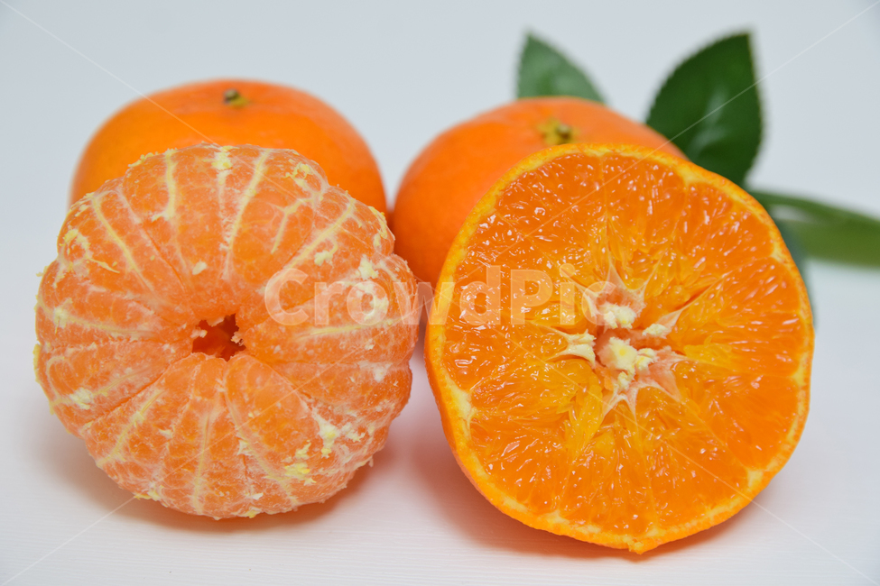 레드향,향기좋은,과일,음식,열매,반쪽,식재료,디저트,감귤류,주황색,fruit,dessert,food,orange,tangerine,cutting,citrusfruit,과일,열매,fruit