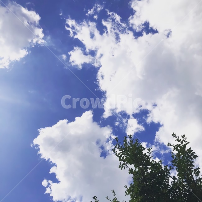하늘,구름,햇빛,나무,날씨,자연,풍경,nature,landscape,outdoors,옥외,sky,azure sky,푸른 하늘