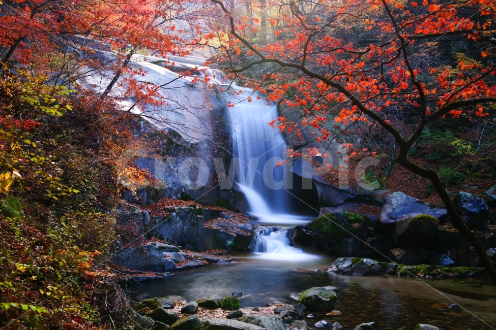 방태산,2단폭포,가을,폭포,바위,단풍,계곡,만추,은사계류,자연,풍경,nature,landscape,가을,계절,fall,autumn,season,leaf,잎,plant,식물,water,물,outdoors,옥외,tree,나무