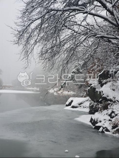 white eyes,snowy winter,winter,ice river,winter tree