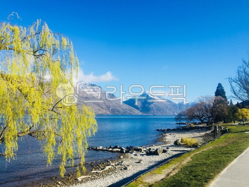 뉴질랜드,퀸즈타운,자연,풍경,산책로