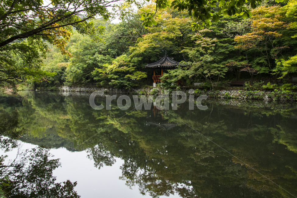 자연,풍경,호수,숲,반영,nature,water,물,outdoors,옥외,land,자연,풍경,nature,landscape,한국자연풍경,한국자연경관,korea nature landscape,한국전통,한국문화,korean traditional,korean culture