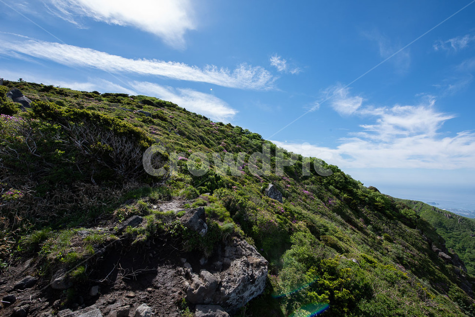 제주도,한라산,영실코스,털진달래,진달래능선,제주도,jeju,jeju island,nature,자연,outdoors,옥외