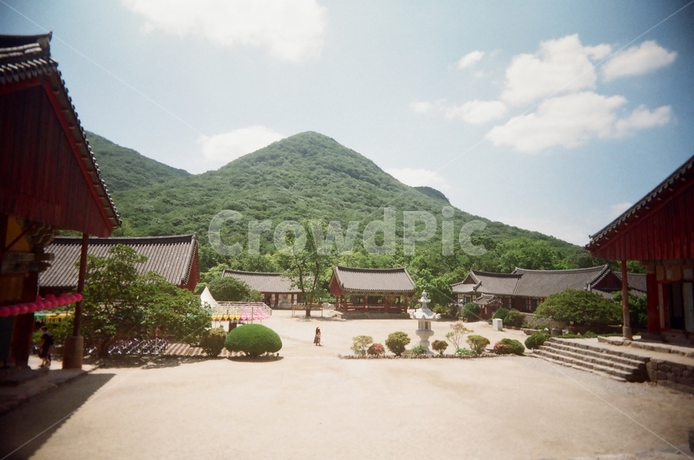 선운사,절,마당,고즈넉,필름사진,한국전통,한국문화,korean traditional,korean culture,랜드마크,landmark,tourist attraction,한국랜드마크,한국관광지,한국명소,korea landmark,korea tourist attraction,종교,신앙,religion,belief,faith,건축물,건물외관,exterior,building,structure,architecture,construction
