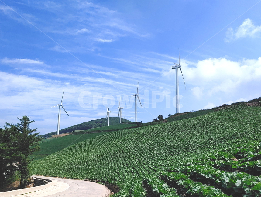 풍경,여름풍경,하늘,구름,산풍경