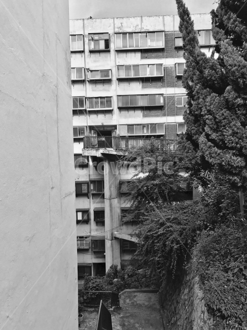 흑백,아파트,남산,낡은건물,오후,흑백,모노톤,monochrome,black and white,건축물,건물외관,exterior,building,structure,architecture,construction