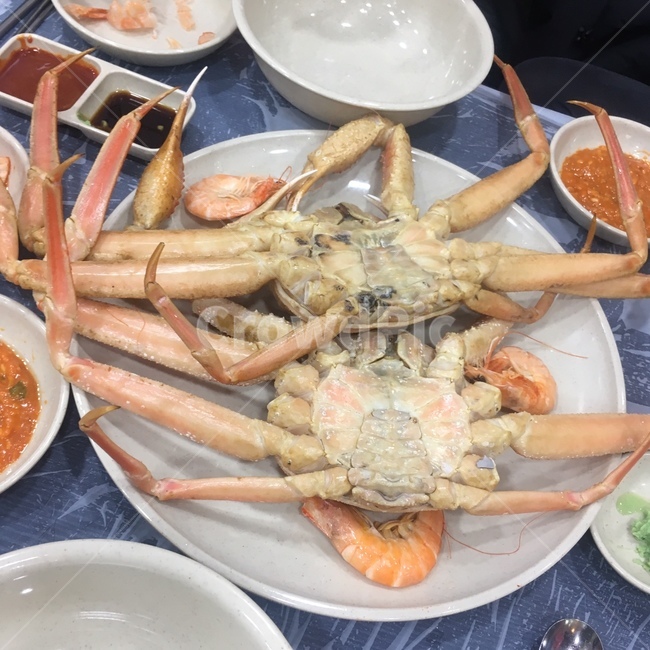 seafood,해물,food,음식,lobster,랍스터,sealife,해양생물,animal,동물,대게,대게찜,수산시장,야식