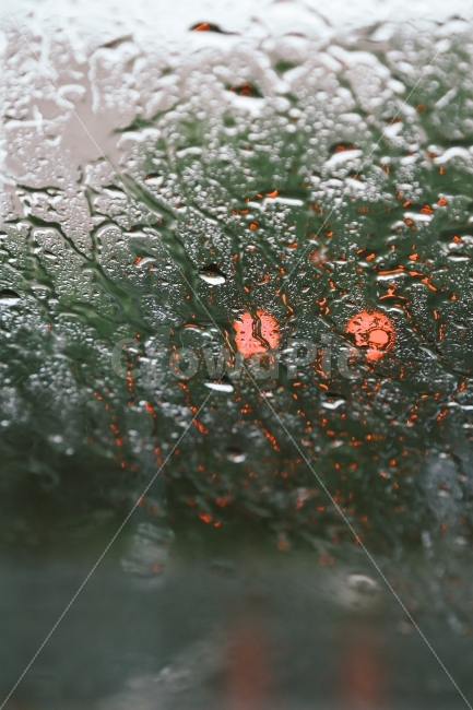 비오는날,비,여름,장마,날씨,풍경,감성사진,비,비오는날,rain,rainy,감성,sensible,feeling