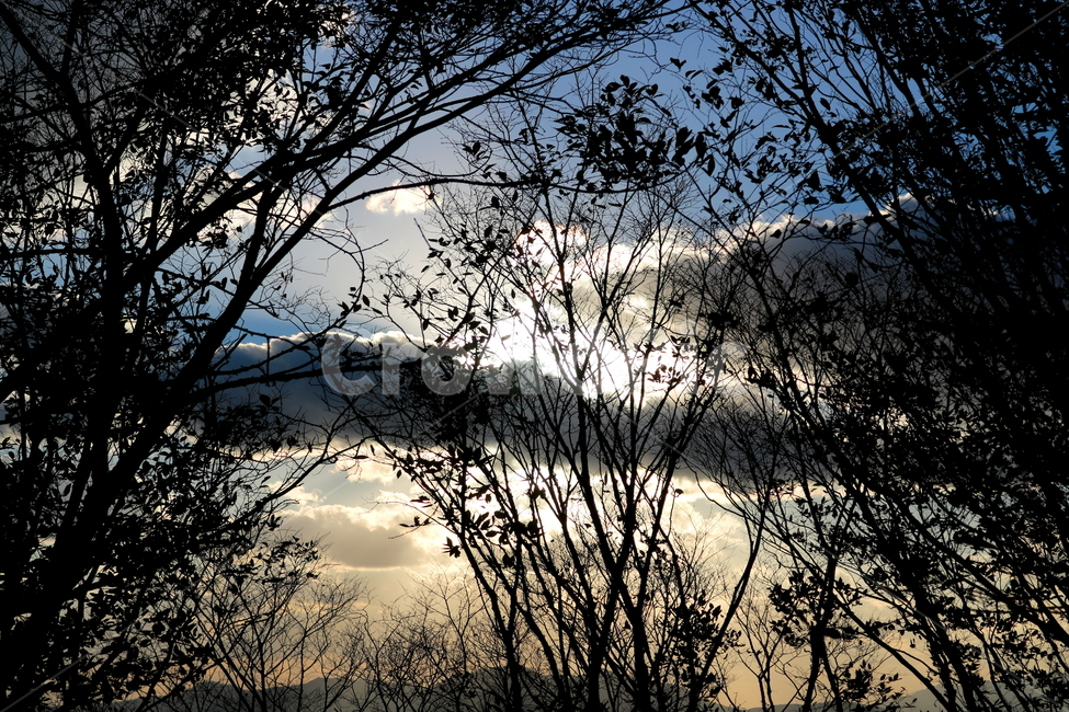 하늘,구름,나무,자연,풍경,자연,풍경,nature,landscape,silhouette,실루엣,outdoors,옥외