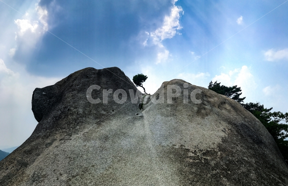 나무,풍경,바위,구름,하늘,자연,자연,풍경,nature,landscape,slope,경사
