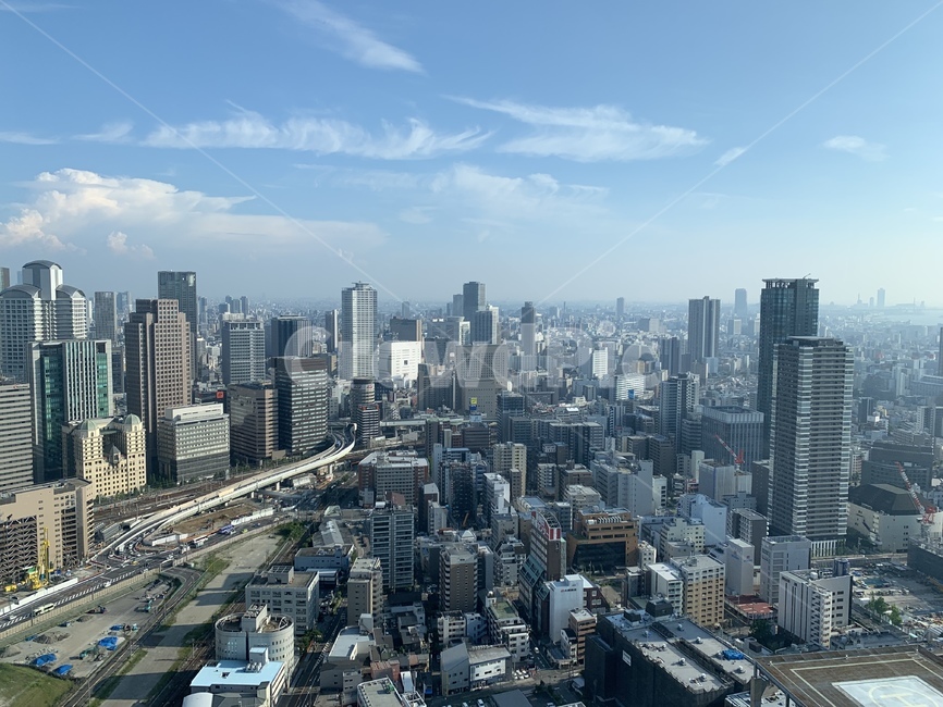 경치,nature,도시,city,building,건물,도시,풍경,city,landscape