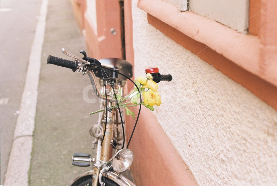 독일,bike,자전거,transportation,교통,vehicle,bicycle,하이델베르크,필름카메라,필름