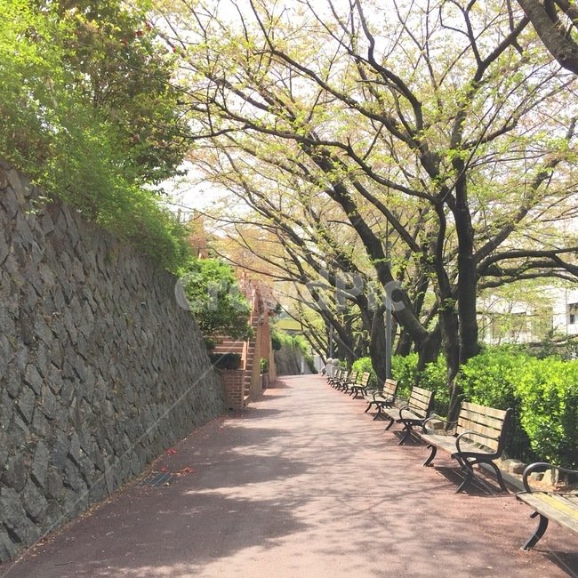 길,벤치,나무,골목,돌담,풍경,자연,풍경,nature,landscape,garden,정원,outdoors,옥외,arbour,정자